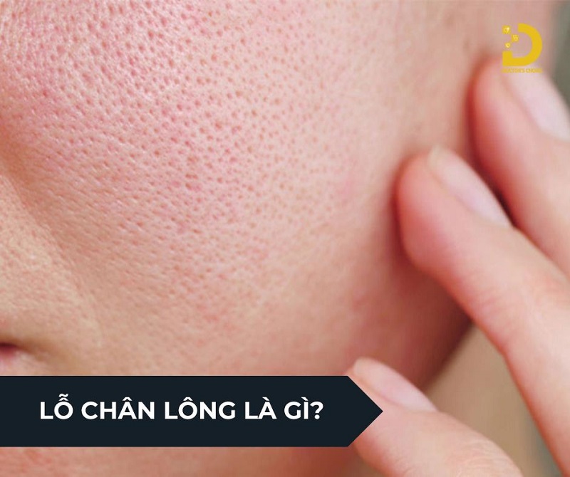 se khit lo chan long 2