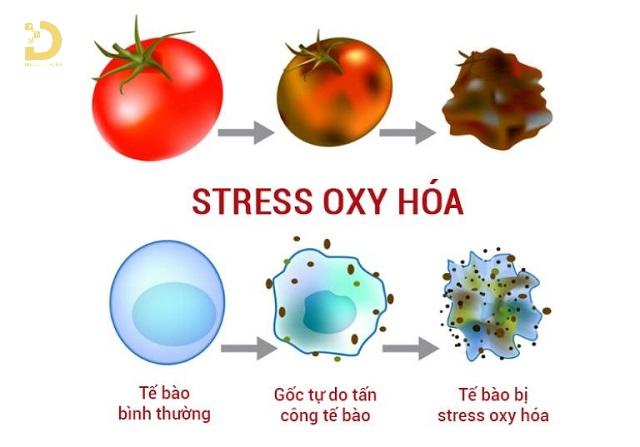 tri tan nhang doi moi 4