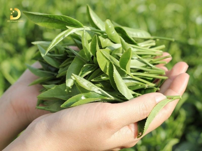 Trà xanh là phương pháp dân gian thường dùng trị nấm da