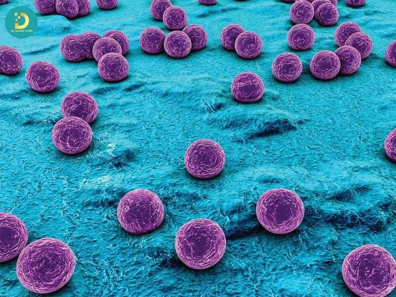 Nguyên nhân trực tiếp gây nhiễm trùng da