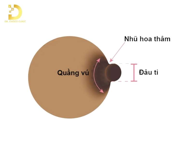 Nhũ Hoa Bị Thâm: Nguyên Nhân & Cách Điều Trị Hiệu Quả 9 Nhũ hoa bị thâm là gì & vì sao vùng này dễ bị thâm?