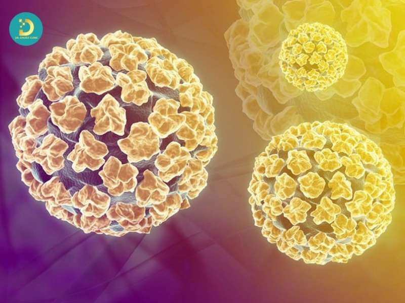 Sùi Mào Gà Trẻ Em: Nguyên Nhân, Dấu Hiệu, Cách Điều Trị & Phòng Ngừa 10 Virus HPV và cơ chế gây bệnh ở trẻ