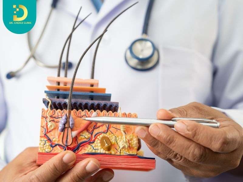 Độ dày của lớp biểu bì và mật độ Collagen ở nam giới khác biệt như thế nào?