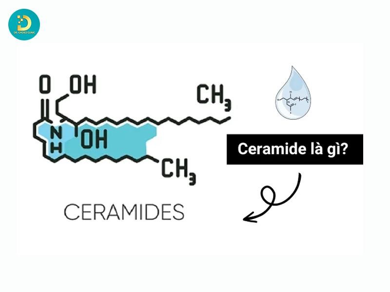 Sạm Da, Cháy Nắng Phải Làm Sao? Top Cách Khắc Phục Hiệu Quả 16 Bổ sung Ceramide giúp phục hồi hàng rào bảo vệ da