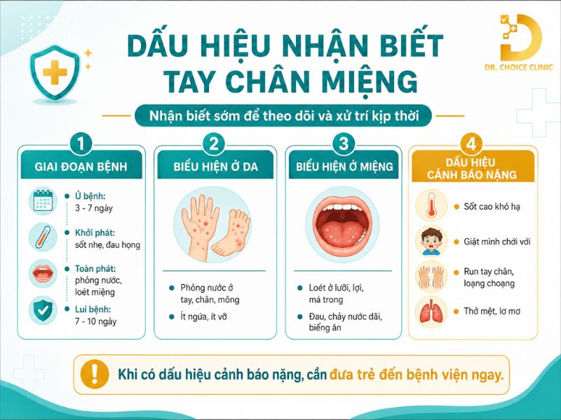 Bệnh Tay Chân Miệng Ở Trẻ: Nguyên Nhân, Dấu Hiệu, Cách Phòng Ngừa Và Điều Trị 12 Dấu hiệu nhận biết bệnh tay chân miệng ở trẻ