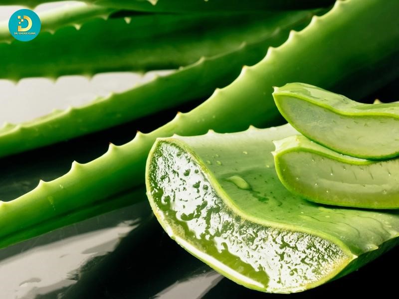Sạm Da, Cháy Nắng Phải Làm Sao? Top Cách Khắc Phục Hiệu Quả 15 Nha đam làm mát và giảm cảm giác nóng rát tức thì.
