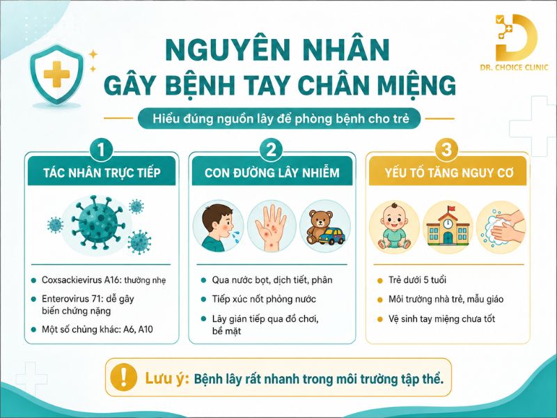 Bệnh Tay Chân Miệng Ở Trẻ: Nguyên Nhân, Dấu Hiệu, Cách Phòng Ngừa Và Điều Trị 10 Nguyên nhân gây ra bệnh tay chân miệng ở trẻ