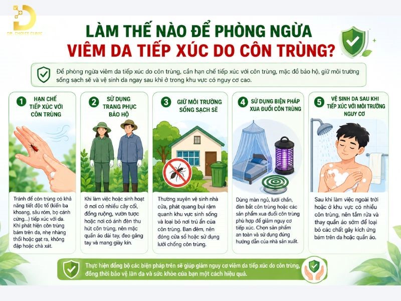 Viêm Da Tiếp Xúc Do Côn Trùng: Triệu Chứng Và Cách Xử Lý Hiệu Quả 13 Cách phòng ngừa viêm da tiếp xúc côn trùng
